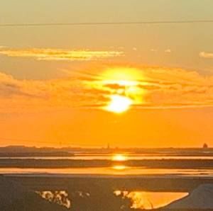 Meet your Posher, Ladydi